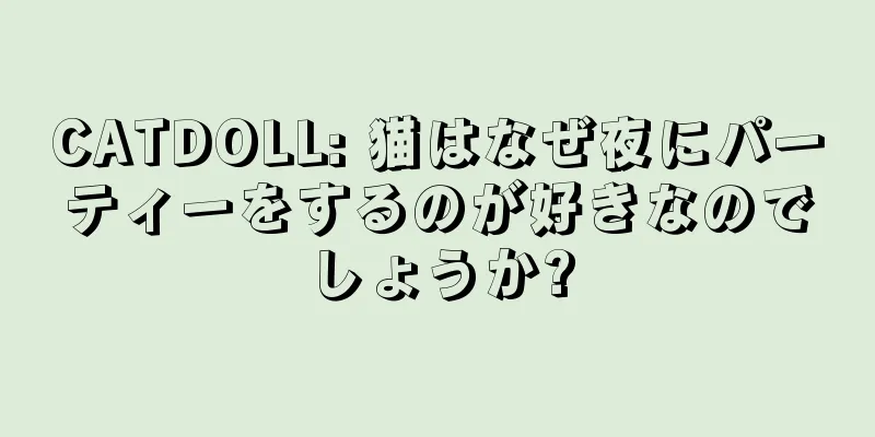 CATDOLL: 猫はなぜ夜にパーティーをするのが好きなのでしょうか?