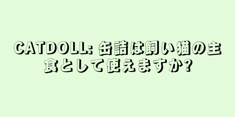 CATDOLL: 缶詰は飼い猫の主食として使えますか?