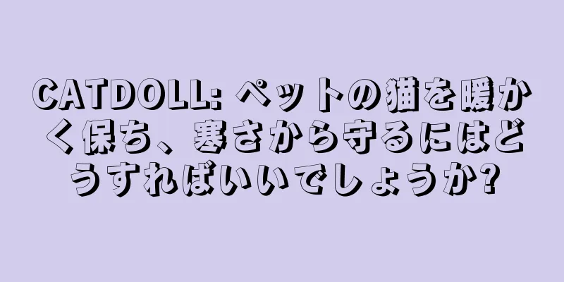 CATDOLL: ペットの猫を暖かく保ち、寒さから守るにはどうすればいいでしょうか?