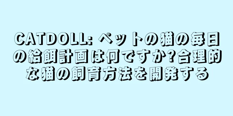 CATDOLL: ペットの猫の毎日の給餌計画は何ですか?合理的な猫の飼育方法を開発する