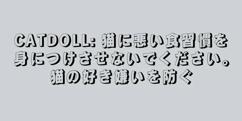 CATDOLL: 猫に悪い食習慣を身につけさせないでください。猫の好き嫌いを防ぐ
