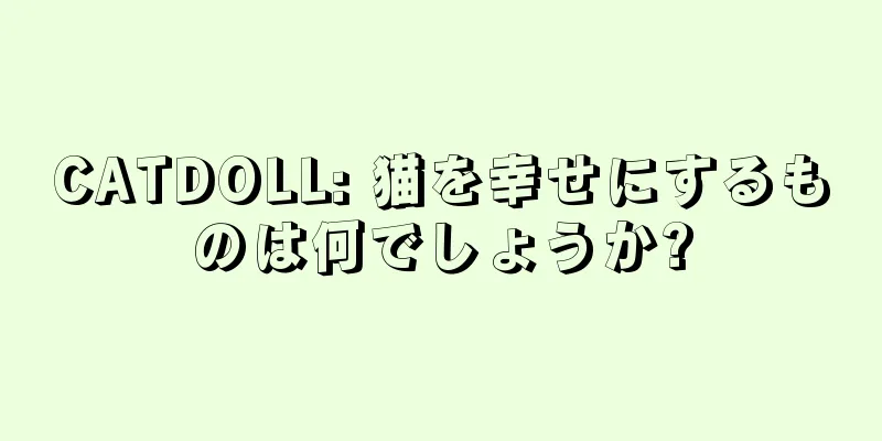 CATDOLL: 猫を幸せにするものは何でしょうか?