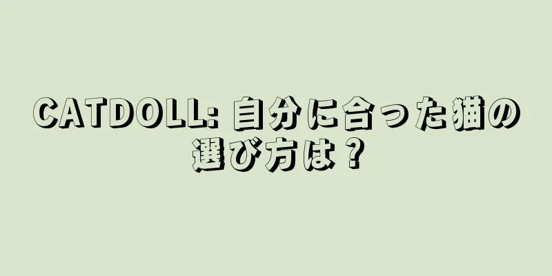 CATDOLL: 自分に合った猫の選び方は？