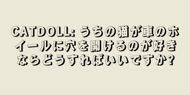CATDOLL: うちの猫が車のホイールに穴を開けるのが好きならどうすればいいですか?
