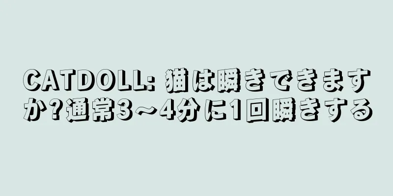 CATDOLL: 猫は瞬きできますか?通常3～4分に1回瞬きする