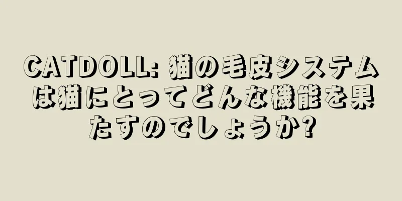 CATDOLL: 猫の毛皮システムは猫にとってどんな機能を果たすのでしょうか?