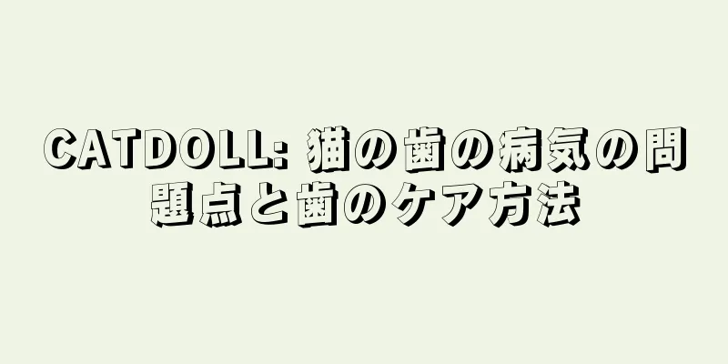 CATDOLL: 猫の歯の病気の問題点と歯のケア方法