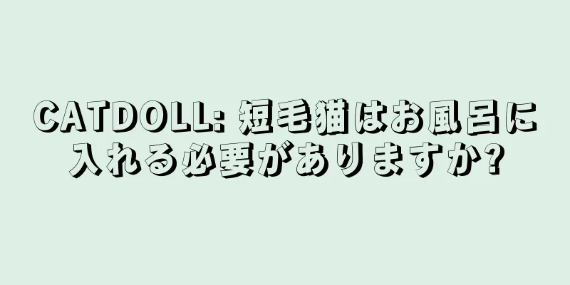 CATDOLL: 短毛猫はお風呂に入れる必要がありますか?