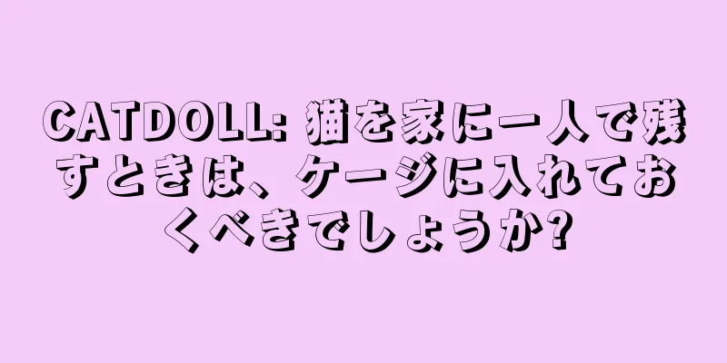CATDOLL: 猫を家に一人で残すときは、ケージに入れておくべきでしょうか?