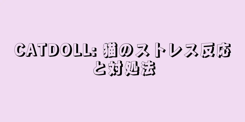 CATDOLL: 猫のストレス反応と対処法