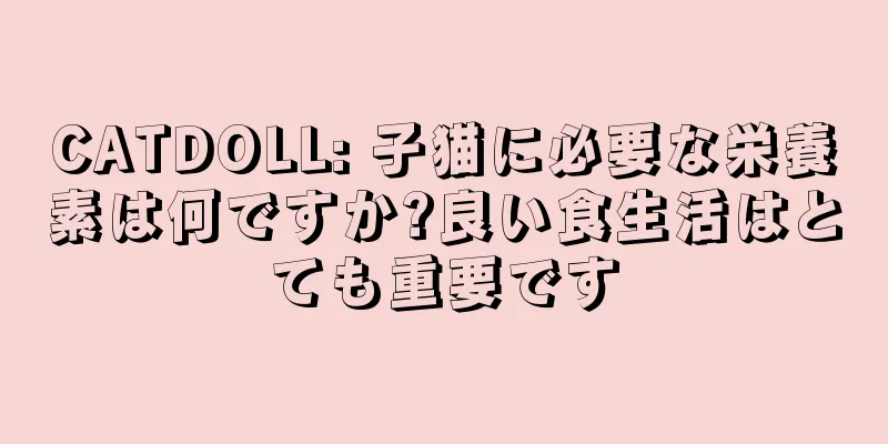 CATDOLL: 子猫に必要な栄養素は何ですか?良い食生活はとても重要です