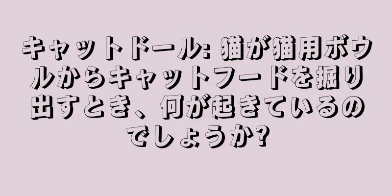 キャットドール: 猫が猫用ボウルからキャットフードを掘り出すとき、何が起きているのでしょうか?