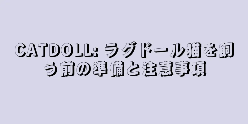 CATDOLL: ラグドール猫を飼う前の準備と注意事項