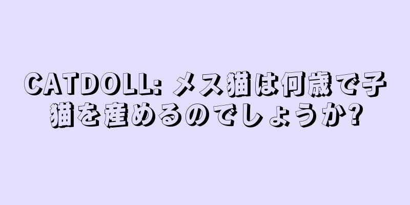 CATDOLL: メス猫は何歳で子猫を産めるのでしょうか?