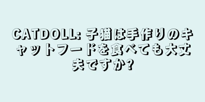CATDOLL: 子猫は手作りのキャットフードを食べても大丈夫ですか?