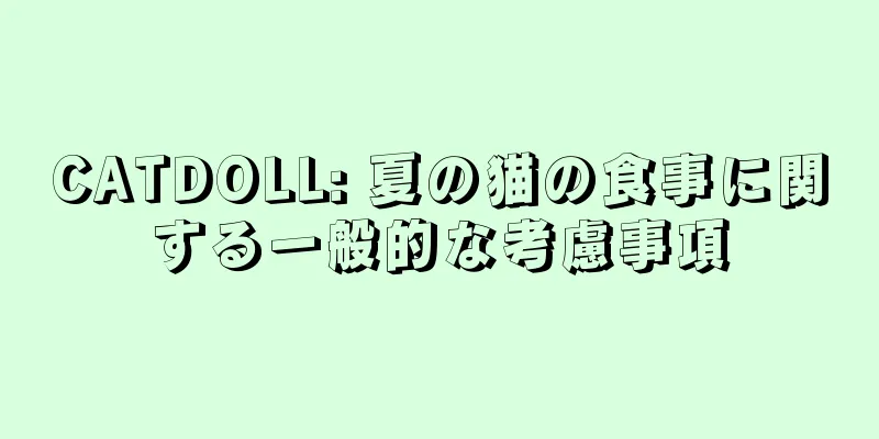 CATDOLL: 夏の猫の食事に関する一般的な考慮事項