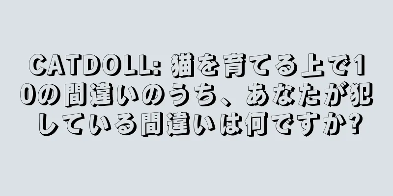 CATDOLL: 猫を育てる上で10の間違いのうち、あなたが犯している間違いは何ですか?