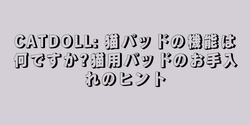 CATDOLL: 猫パッドの機能は何ですか?猫用パッドのお手入れのヒント