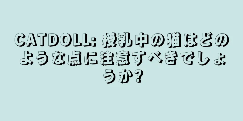 CATDOLL: 授乳中の猫はどのような点に注意すべきでしょうか?