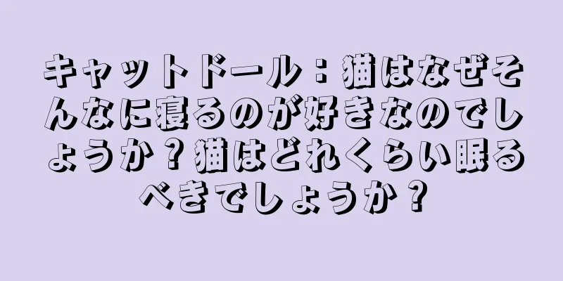 キャットドール：猫はなぜそんなに寝るのが好きなのでしょうか？猫はどれくらい眠るべきでしょうか？