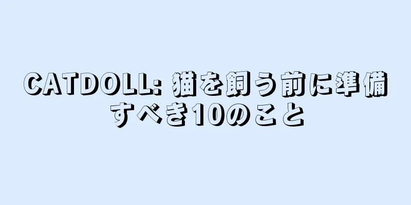 CATDOLL: 猫を飼う前に準備すべき10のこと
