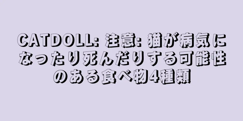 CATDOLL: 注意: 猫が病気になったり死んだりする可能性のある食べ物4種類