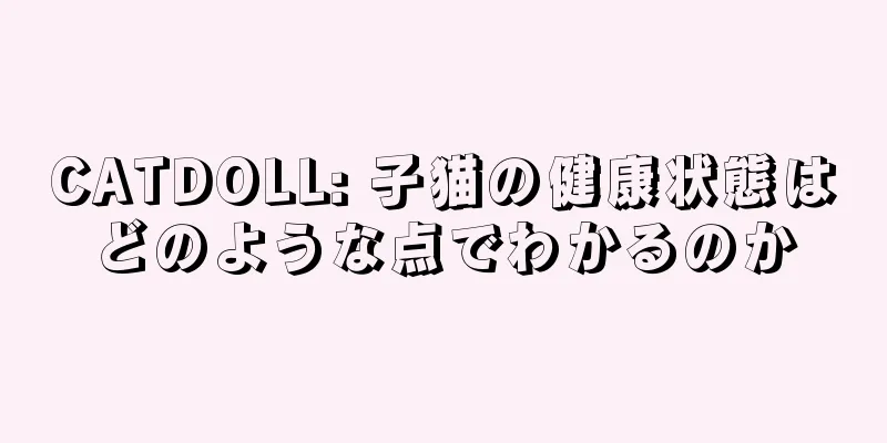 CATDOLL: 子猫の健康状態はどのような点でわかるのか