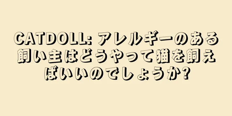 CATDOLL: アレルギーのある飼い主はどうやって猫を飼えばいいのでしょうか?