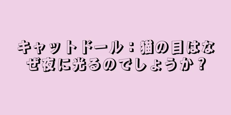 キャットドール：猫の目はなぜ夜に光るのでしょうか？