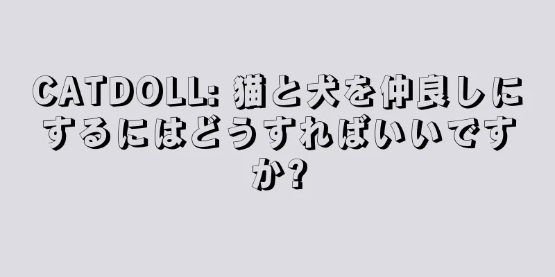 CATDOLL: 猫と犬を仲良しにするにはどうすればいいですか?