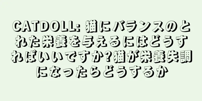 CATDOLL: 猫にバランスのとれた栄養を与えるにはどうすればいいですか?猫が栄養失調になったらどうするか