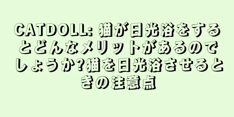CATDOLL: 猫が日光浴をするとどんなメリットがあるのでしょうか?猫を日光浴させるときの注意点