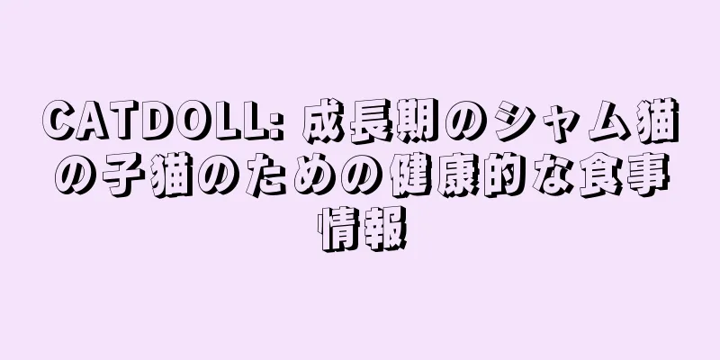 CATDOLL: 成長期のシャム猫の子猫のための健康的な食事情報
