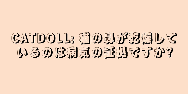 CATDOLL: 猫の鼻が乾燥しているのは病気の証拠ですか?