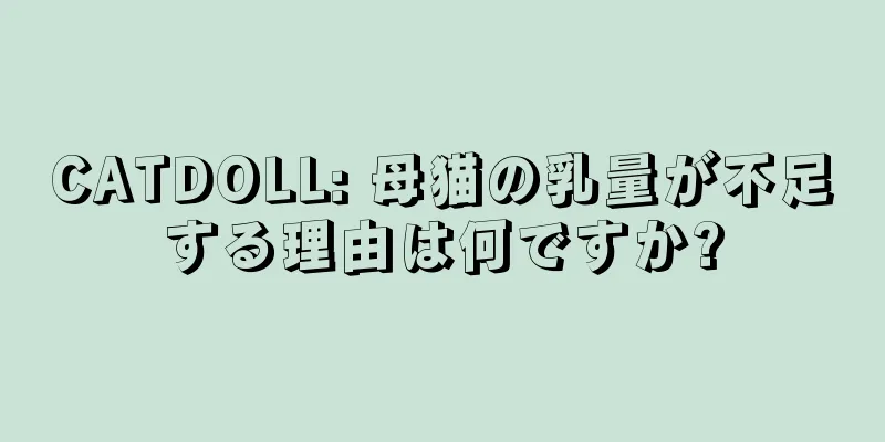 CATDOLL: 母猫の乳量が不足する理由は何ですか?