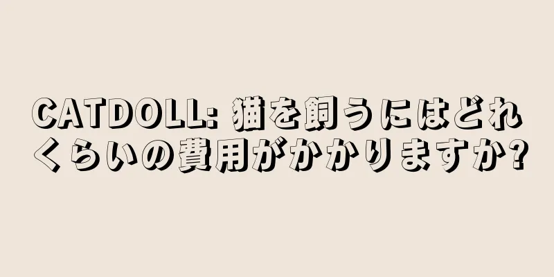 CATDOLL: 猫を飼うにはどれくらいの費用がかかりますか?
