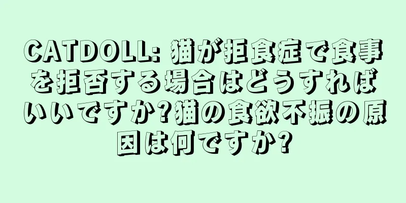CATDOLL: 猫が拒食症で食事を拒否する場合はどうすればいいですか?猫の食欲不振の原因は何ですか?