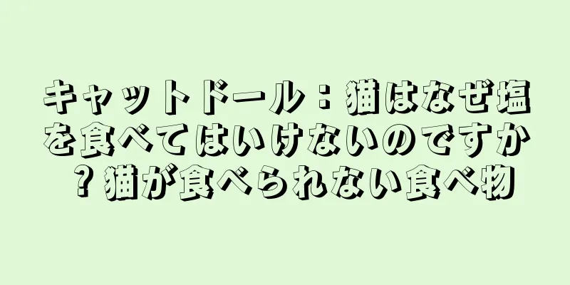 キャットドール：猫はなぜ塩を食べてはいけないのですか？猫が食べられない食べ物