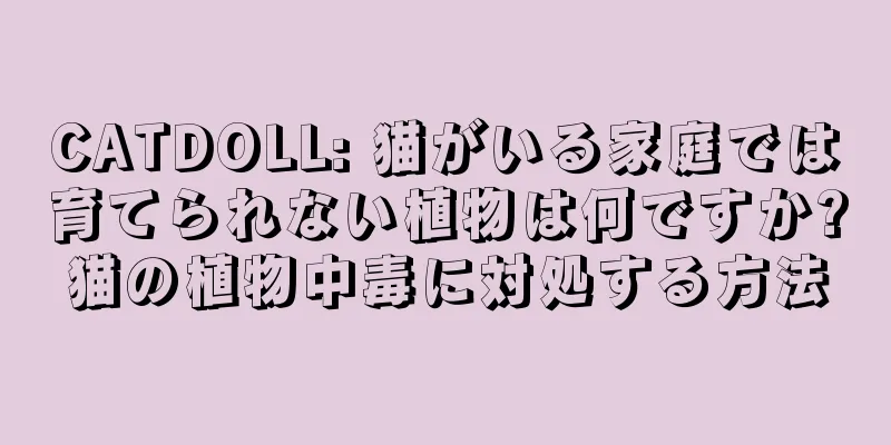 CATDOLL: 猫がいる家庭では育てられない植物は何ですか?猫の植物中毒に対処する方法