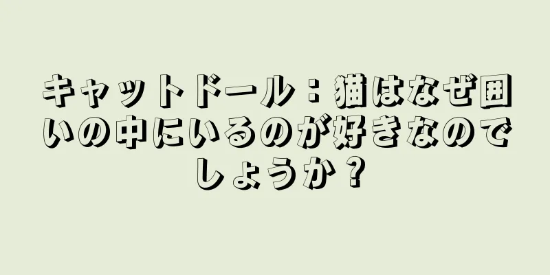 キャットドール：猫はなぜ囲いの中にいるのが好きなのでしょうか？