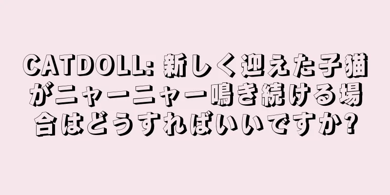 CATDOLL: 新しく迎えた子猫がニャーニャー鳴き続ける場合はどうすればいいですか?