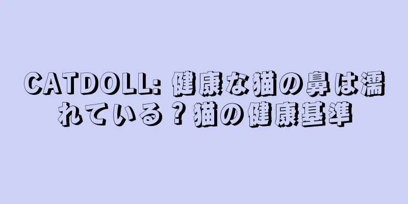 CATDOLL: 健康な猫の鼻は濡れている？猫の健康基準