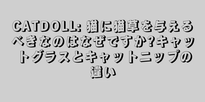CATDOLL: 猫に猫草を与えるべきなのはなぜですか?キャットグラスとキャットニップの違い