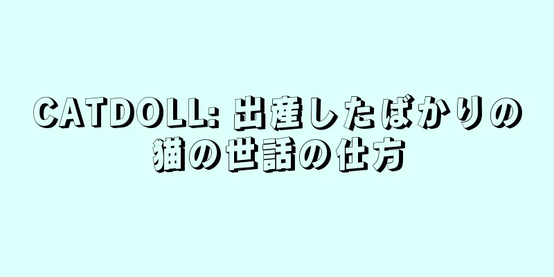 CATDOLL: 出産したばかりの猫の世話の仕方