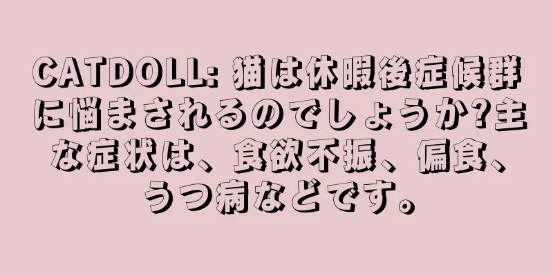 CATDOLL: 猫は休暇後症候群に悩まされるのでしょうか?主な症状は、食欲不振、偏食、うつ病などです。