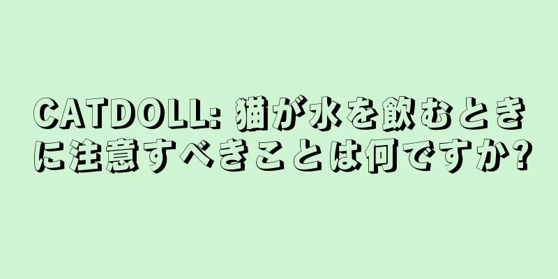 CATDOLL: 猫が水を飲むときに注意すべきことは何ですか?