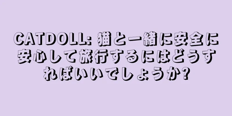 CATDOLL: 猫と一緒に安全に安心して旅行するにはどうすればいいでしょうか?