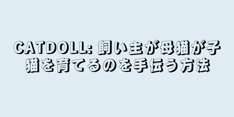 CATDOLL: 飼い主が母猫が子猫を育てるのを手伝う方法
