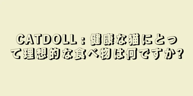 CATDOLL : 健康な猫にとって理想的な食べ物は何ですか?