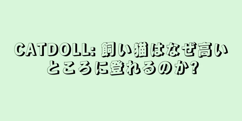 CATDOLL: 飼い猫はなぜ高いところに登れるのか?